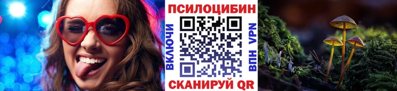 Купить закладки  Шахунья  Галлюциногенные грибы мухоморы 