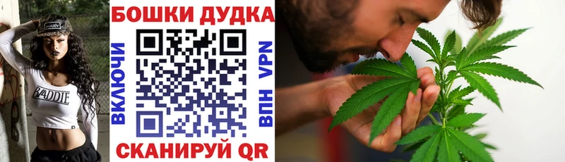 Купить закладки Шахунья Шишки марихуана тримм